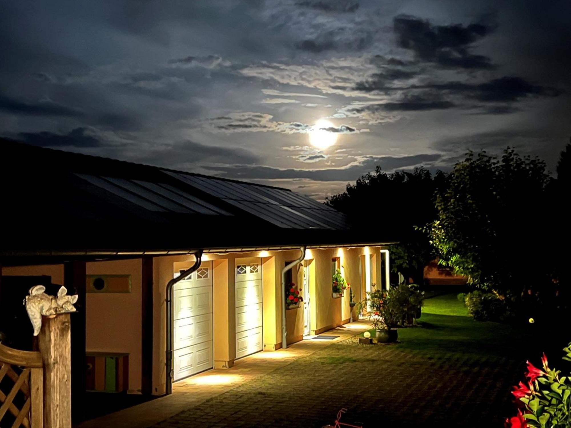 Ferienhaus Jasmin Neuruppin Bagian luar foto